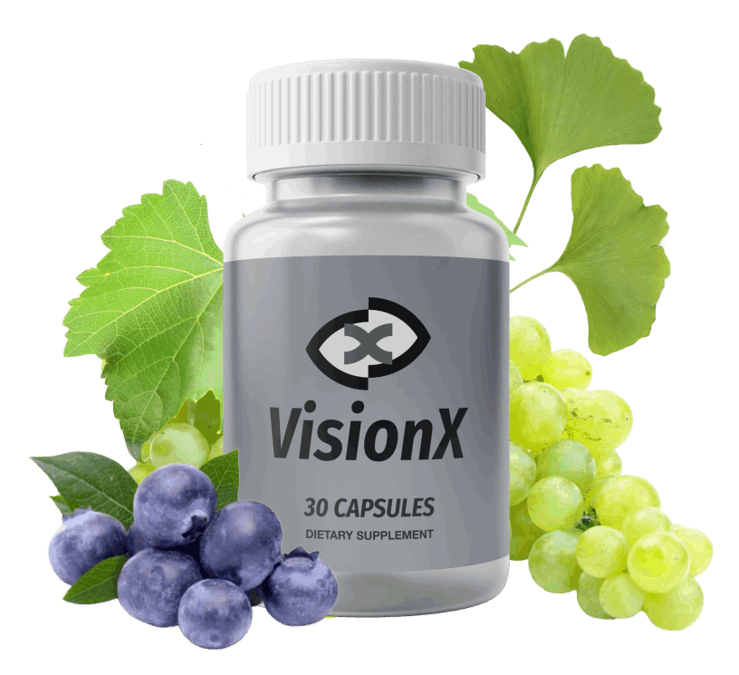 VisionX Vision Support